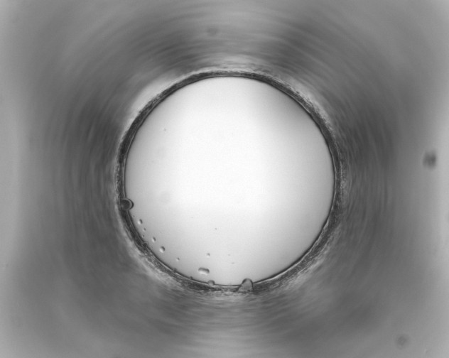 X0000093561085200711051033