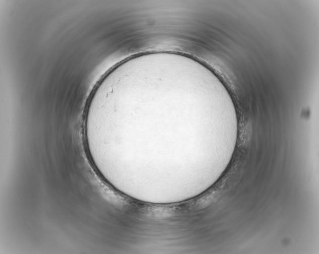 X0000093561086200711051033