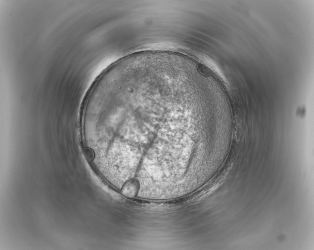 X0000093561087200711051033