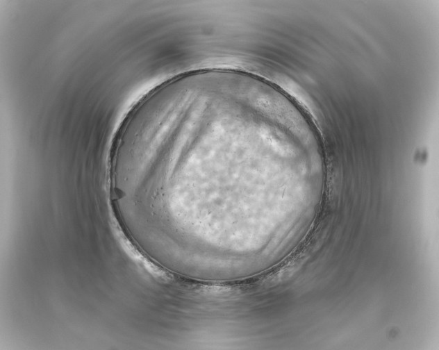 X0000093561088200711051033