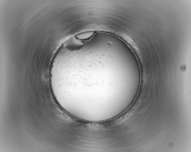 X0000093561089200711051033