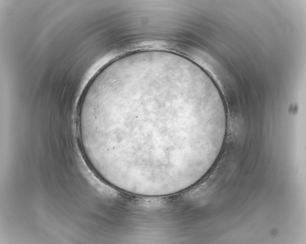 X0000093561090200711051033