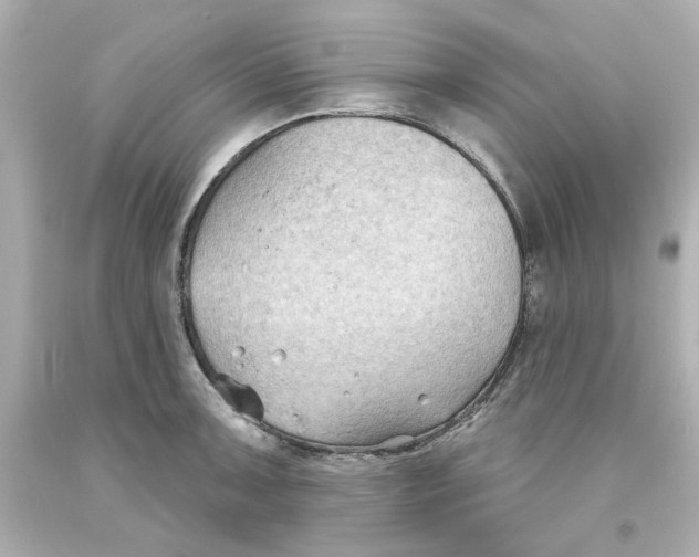 X0000093561091200711051033