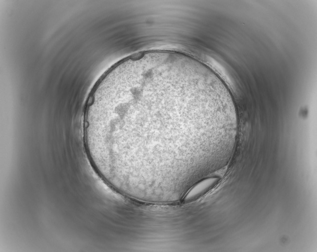 X0000093561092200711051032