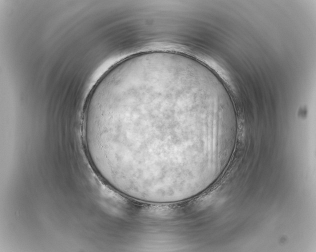 X0000093561094200711051032