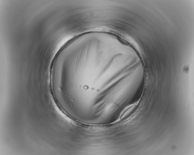 X0000093561095200711051032