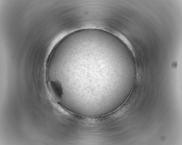 X0000093561096200711051032