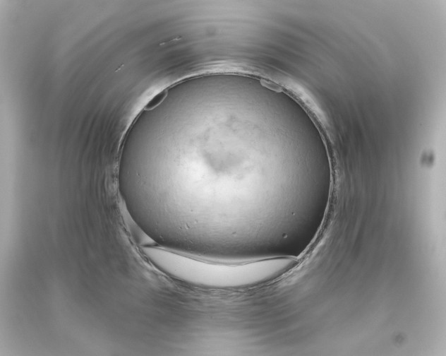 X0000093561097200711051032