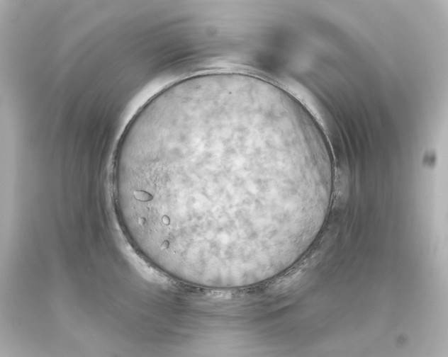 X0000093561098200711051032