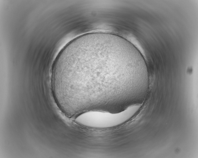 X0000093561099200711051032