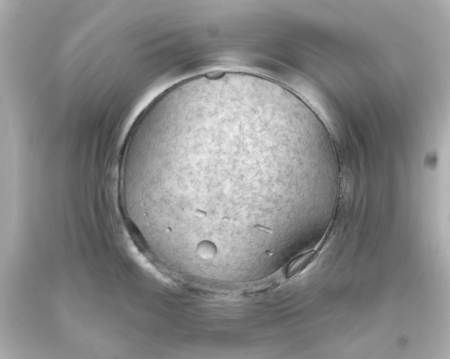 X0000093561100200711051032