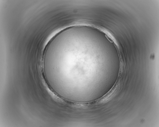 X0000093561101200711051032