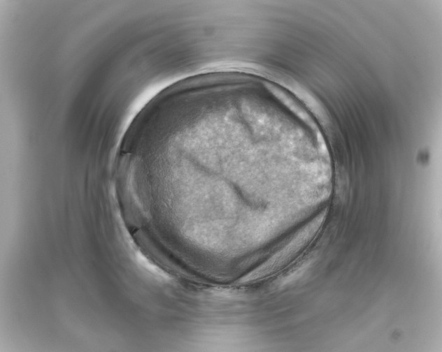 X0000093561102200711051032