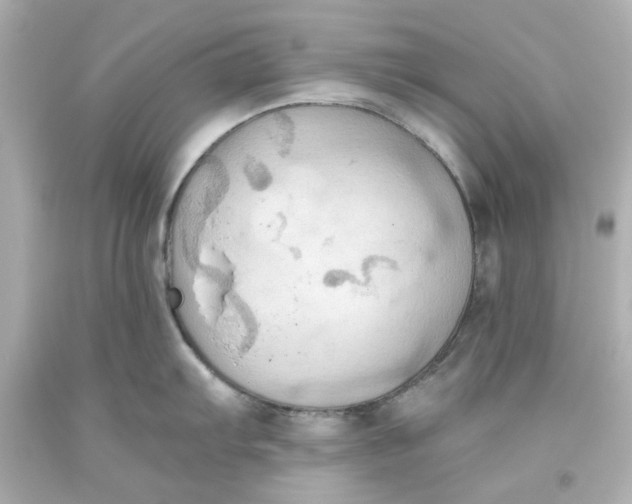 X0000093561103200711051032