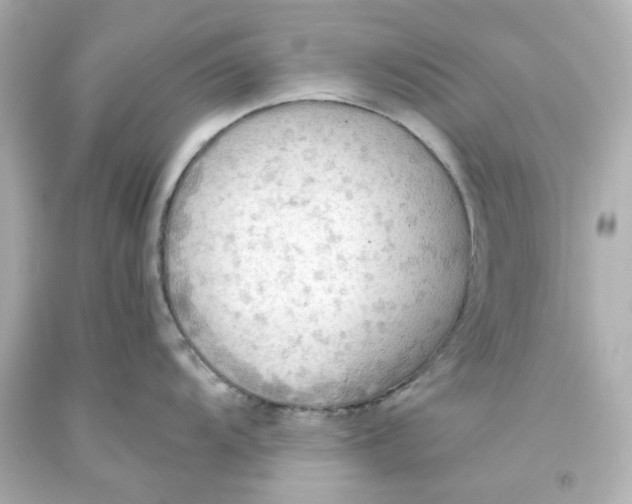 X0000093561104200711051032