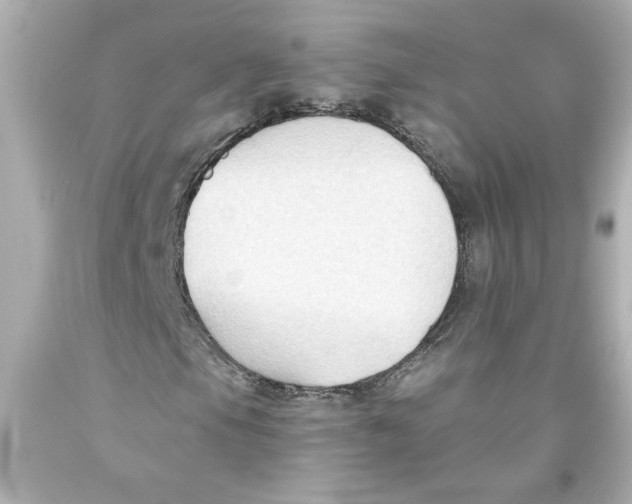 X0000093561105200711051032