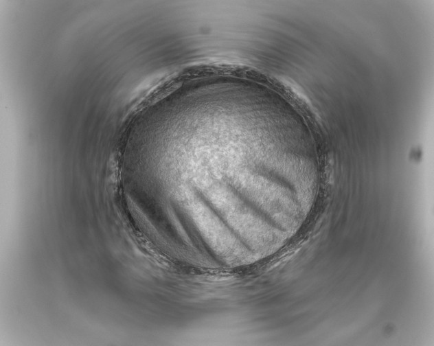 X0000093561110200711051032