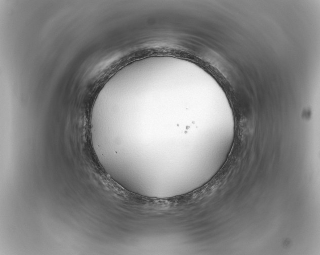 X0000093561111200711051032