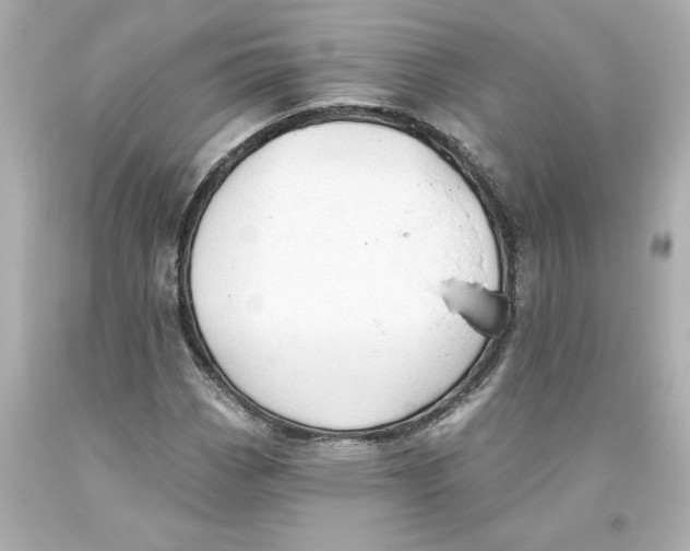 X0000093561113200711051032