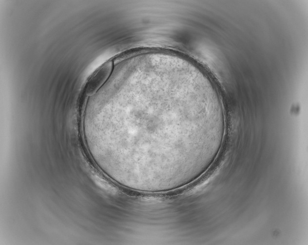 X0000093561114200711051032