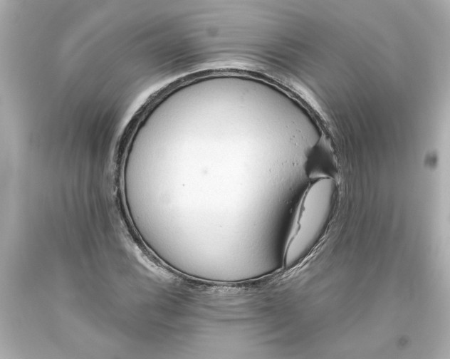 X0000093561116200711051032