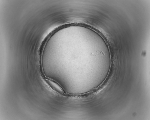 X0000093561118200711051032