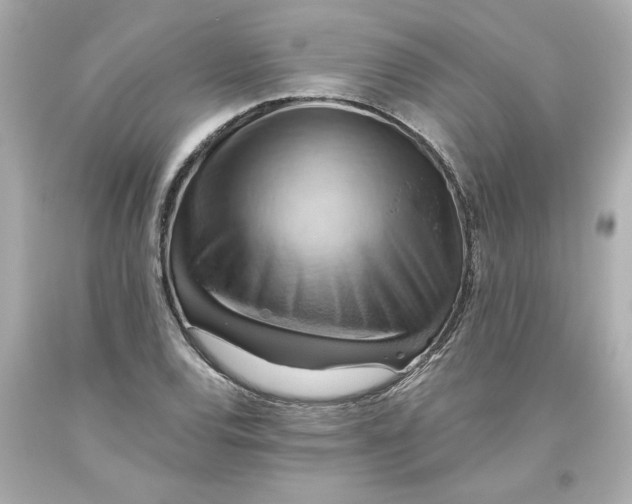 X0000093561120200711051032