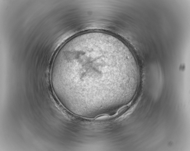 X0000093561121200711051032