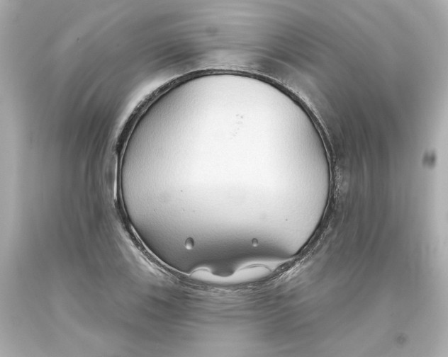 X0000093561123200711051032