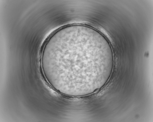 X0000093561124200711051032