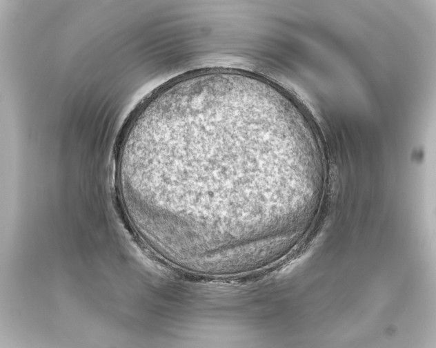 X0000093561125200711051032