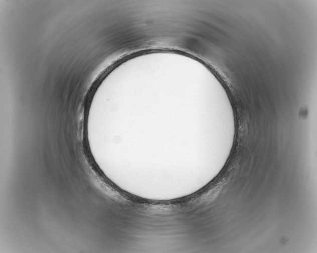 X0000093561126200711051032