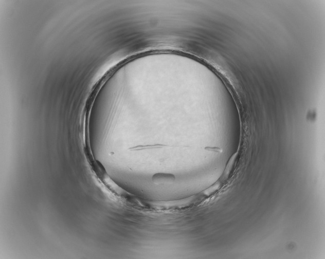 X0000093561127200711051032