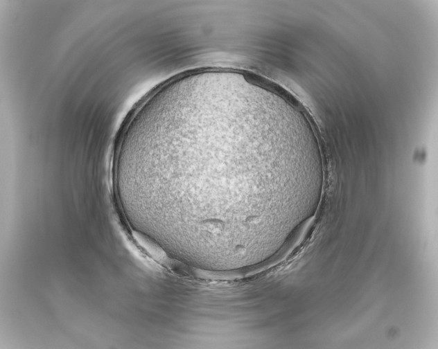 X0000093561128200711051032