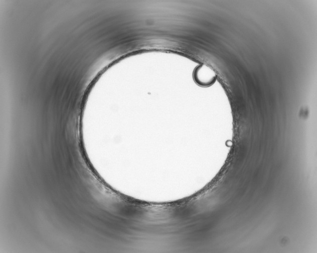 X0000093561130200711051032