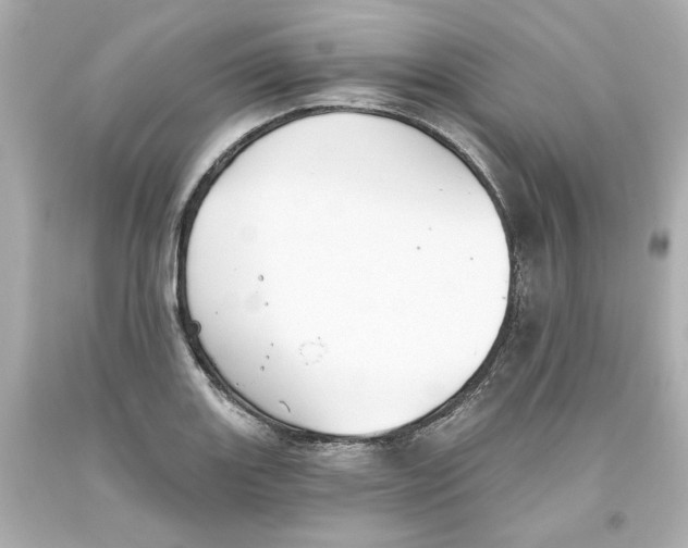 X0000093561131200711051032