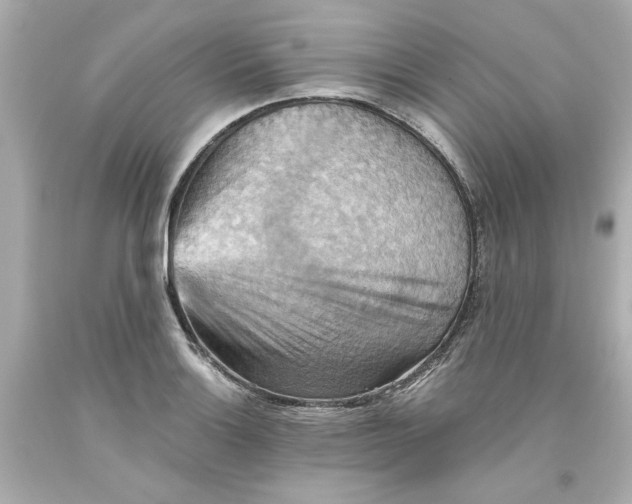 X0000093561132200711051032