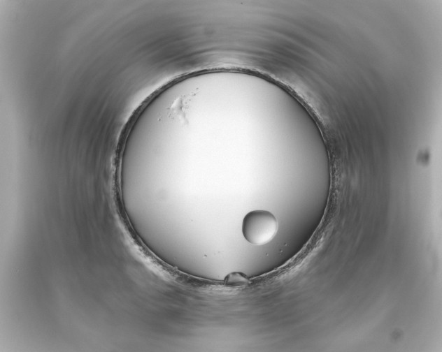 X0000093561134200711051032