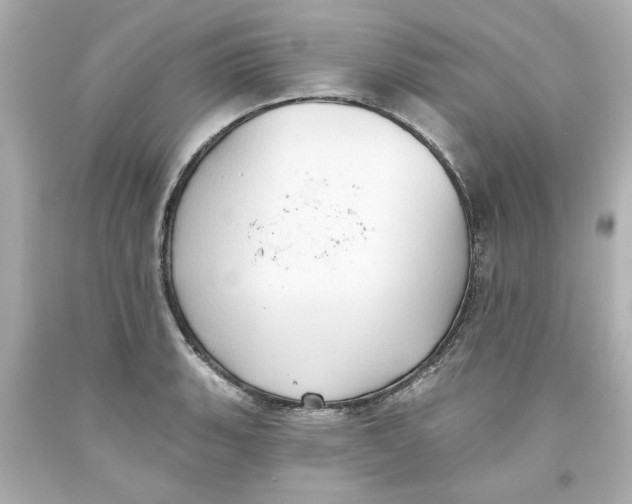 X0000093561135200711051032