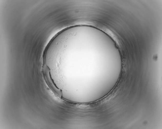 X0000093561140200711051032