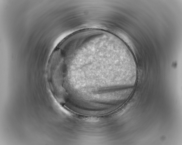 X0000093561141200711051032