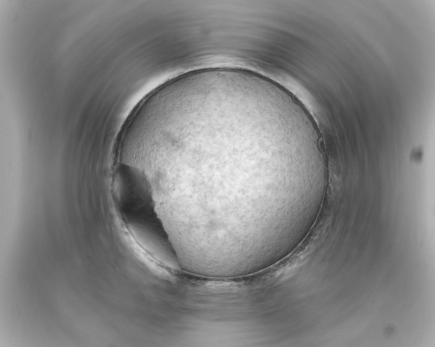 X0000093561142200711051032