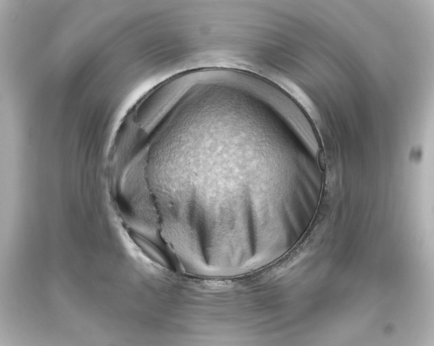 X0000093561144200711051032