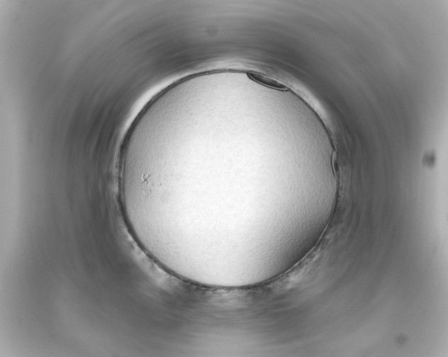 X0000093561148200711051032