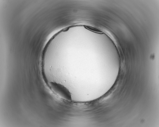 X0000093561149200711051032