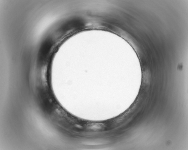 X0000093561150200711051032