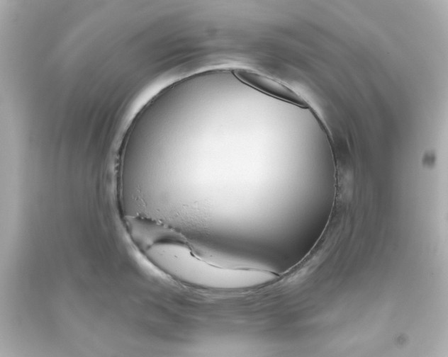 X0000093561151200711051032