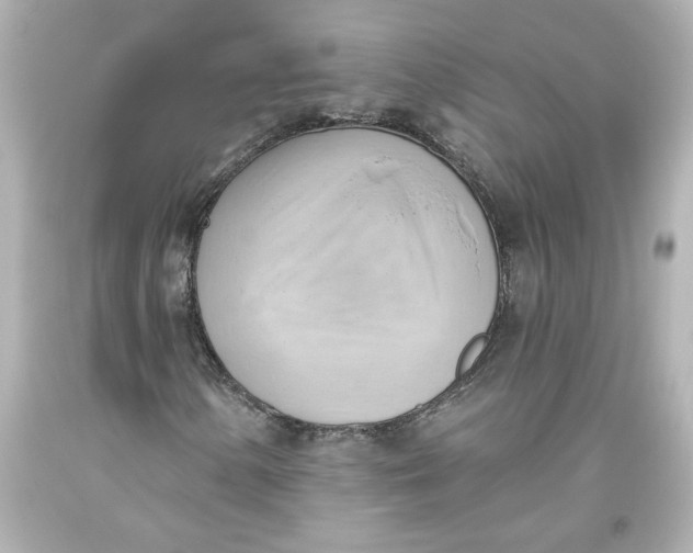 X0000093561154200711051032