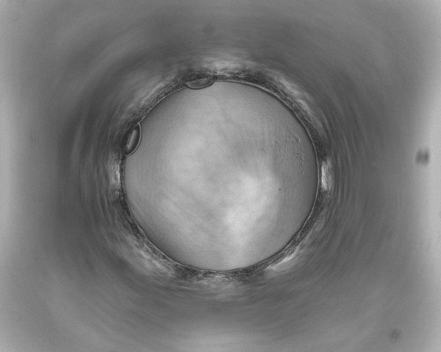 X0000093561155200711051032