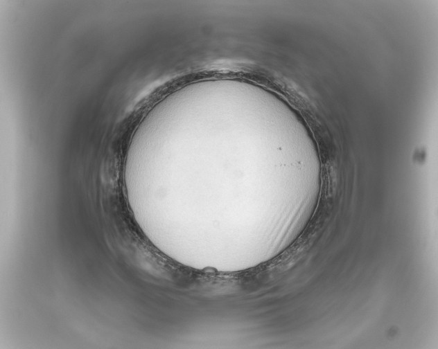 X0000093561158200711051032